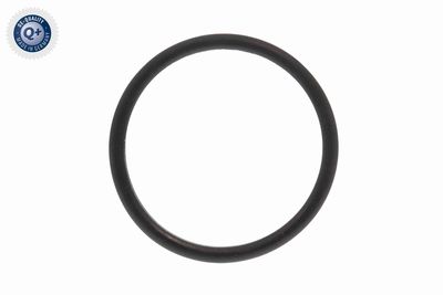 Seal, thermostat VEMO V46-99-9001