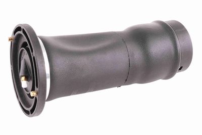 Air Suspension Strut VEMO V48-50-0009