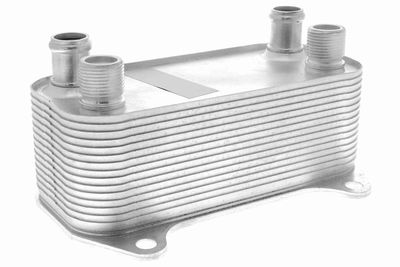 Oil Cooler, engine oil VEMO V48-60-0010