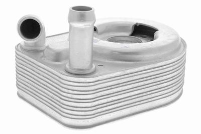 Oil Cooler, engine oil VEMO V48-60-0013