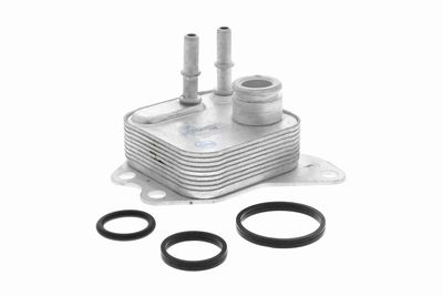 Oil Cooler, engine oil VEMO V48-60-0021