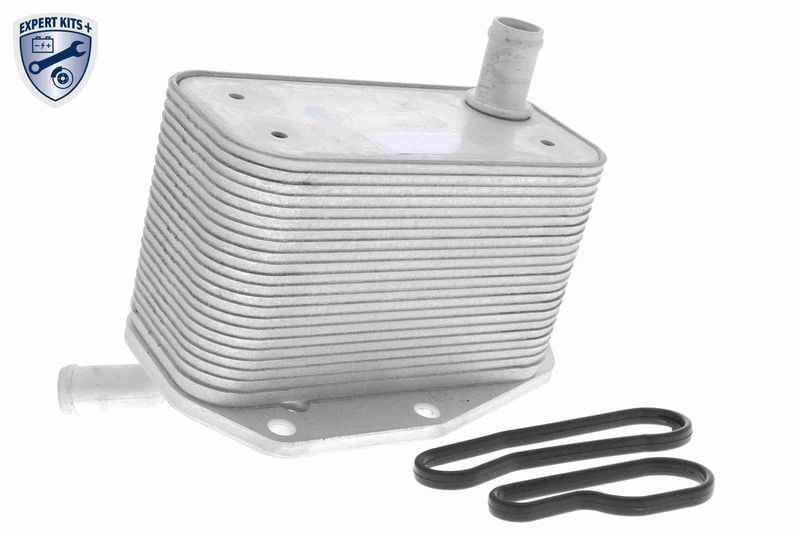 VEMO V48-60-0022 Oil Cooler, engine oil