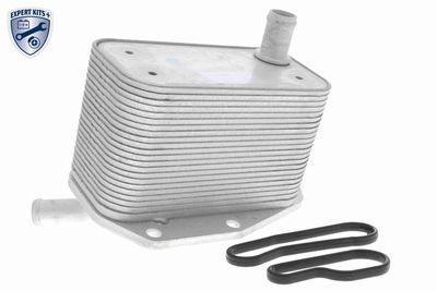 Oil Cooler, engine oil VEMO V48-60-0022