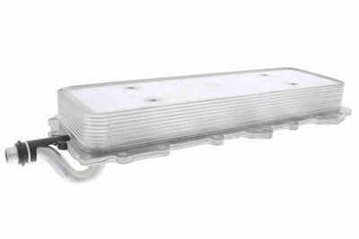 Oil Cooler, engine oil VEMO V48-60-0024