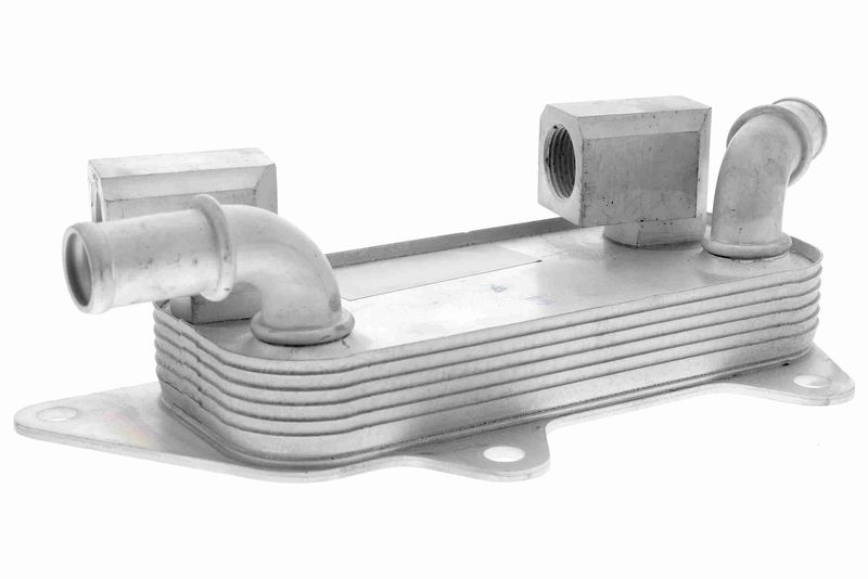 VEMO V48-60-0026 Oil Cooler, engine oil