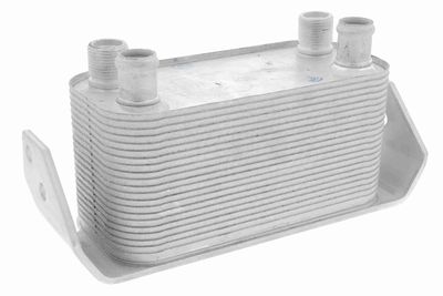 Oil Cooler, engine oil VEMO V48-60-0030
