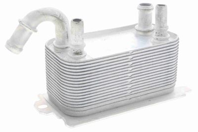 Oil Cooler, engine oil VEMO V95-60-0005