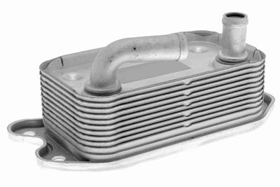 Oil Cooler, engine oil VEMO V95-60-0006