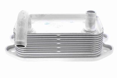 Oil Cooler, engine oil VEMO V95-60-0008