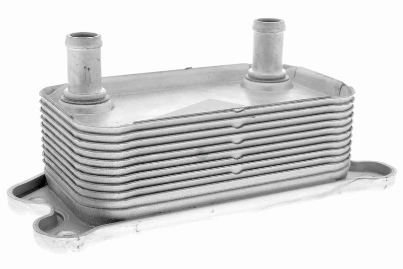 VEMO V95-60-0012 Oil Cooler, engine oil