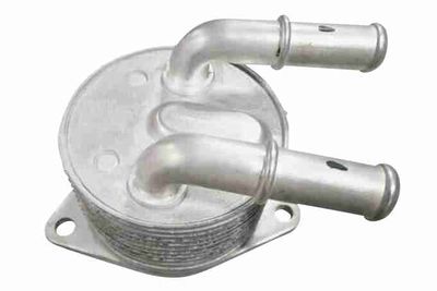 Oil Cooler, automatic transmission VEMO V95-60-0019