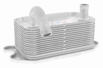 Oil Cooler, engine oil VEMO V95-60-0020