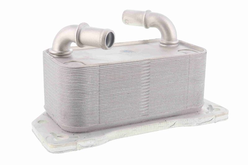 VEMO V95-60-0024 Oil Cooler, engine oil