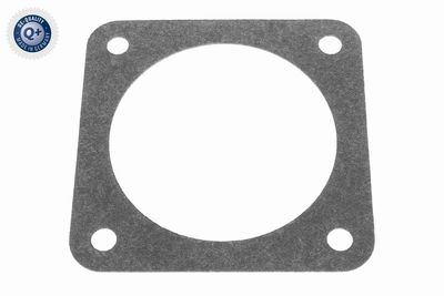 Gasket, throttle body VEMO V99-99-0024