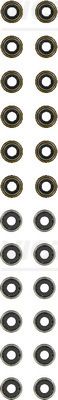 Seal Set, valve stem VICTOR REINZ 12-36204-01