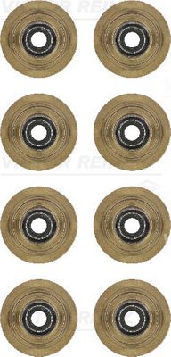 Seal Set, valve stem VICTOR REINZ 12-31056-01