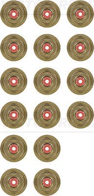 VICTOR REINZ 12-36497-01 Seal Set, valve stem