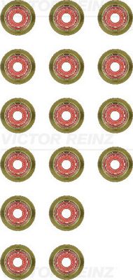 VICTOR REINZ 12-36587-01 Seal Set, valve stem