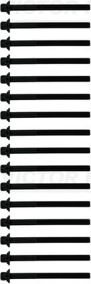 VICTOR REINZ 14-10597-01 Cylinder Head Bolt Set