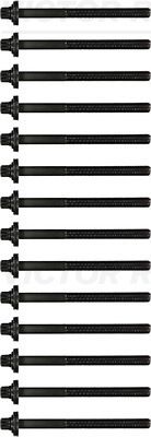 Cylinder Head Bolt Set VICTOR REINZ 14-32004-01