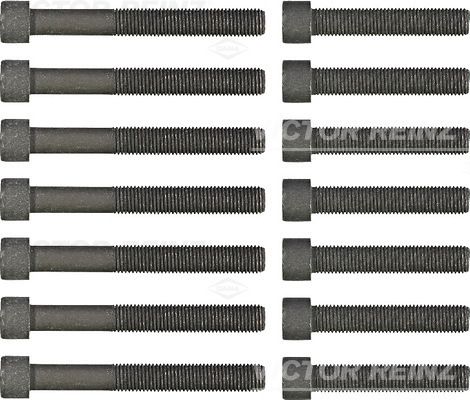VICTOR REINZ 14-32039-02 Cylinder Head Bolt Set