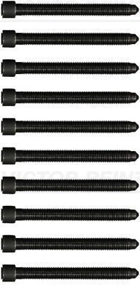 Cylinder Head Bolt Set VICTOR REINZ 14-32052-01