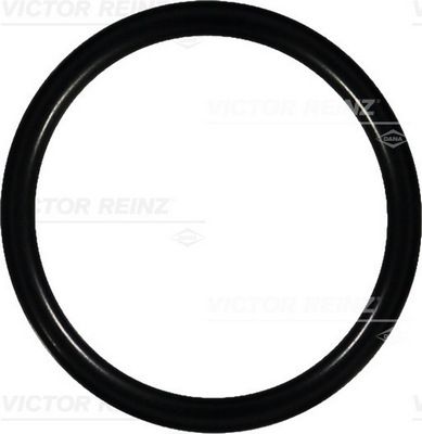 Seal Ring VICTOR REINZ 40-76088-00