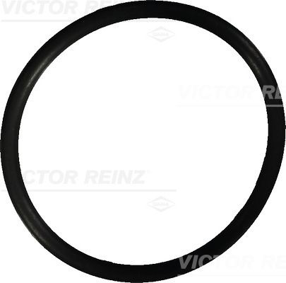 VICTOR REINZ 40-76022-10 Seal Ring