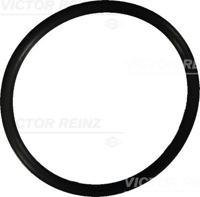Seal Ring VICTOR REINZ 40-76022-10