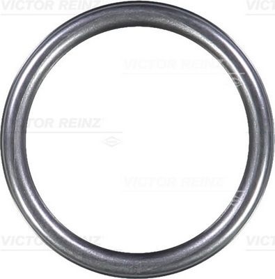 Seal Ring VICTOR REINZ 40-76313-10
