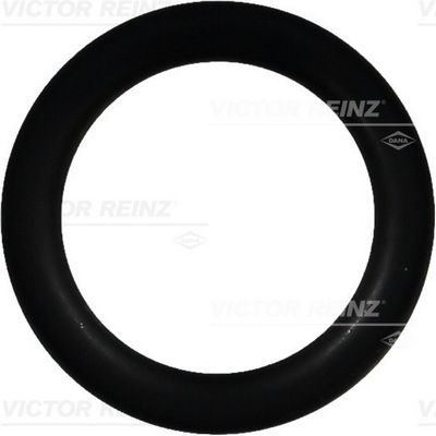Seal Ring VICTOR REINZ 40-76391-00