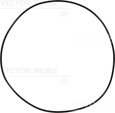 Seal Ring VICTOR REINZ 40-76910-10