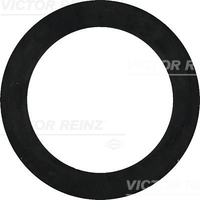 Seal Ring VICTOR REINZ 40-77322-00