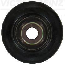 Seal Ring, valve stem VICTOR REINZ 70-19295-00