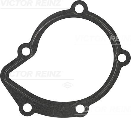 VICTOR REINZ 70-25920-30 Gasket, water pump