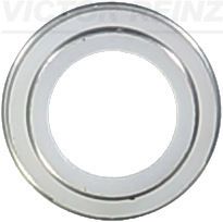 VICTOR REINZ 70-23062-00 Seal Ring, valve stem