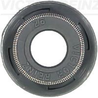 Seal Ring, valve stem VICTOR REINZ 70-54169-00