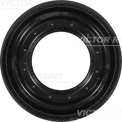 VICTOR REINZ 81-31377-00 Shaft Seal, differential