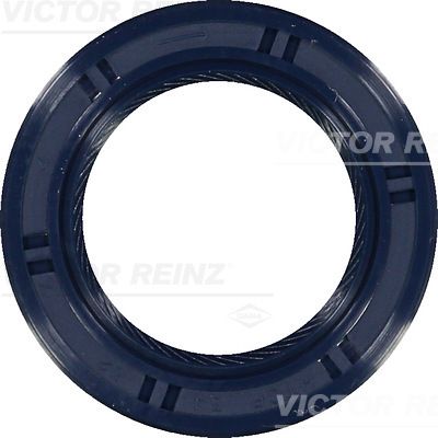 VICTOR REINZ 81-53491-00 Shaft Seal, camshaft