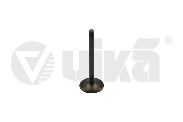 vika 11090176601 Intake Valve