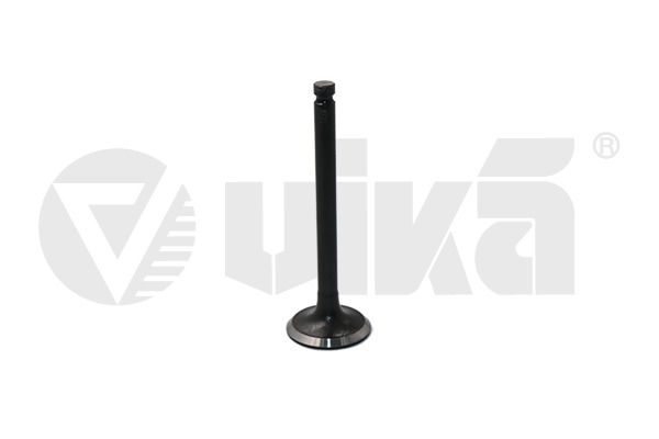 vika 11090177001 Intake Valve