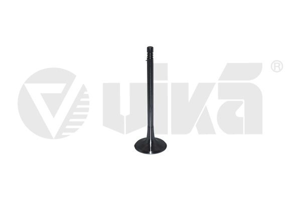vika 11091777001 Intake Valve
