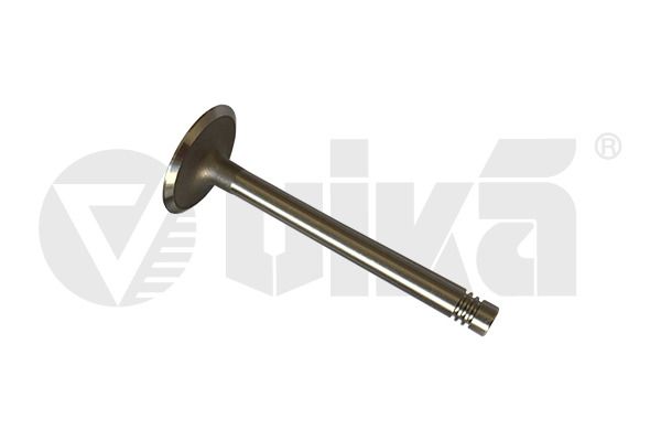 vika 11091793201 Intake Valve
