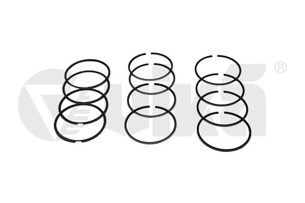 vika 11980015901 Piston Ring Kit
