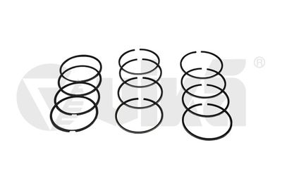 Piston Ring Kit vika 11980015901