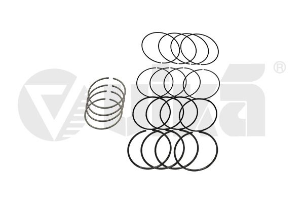 vika 11981542901 Piston Ring Kit