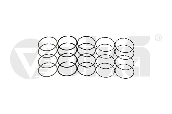 vika 11981543001 Piston Ring Kit