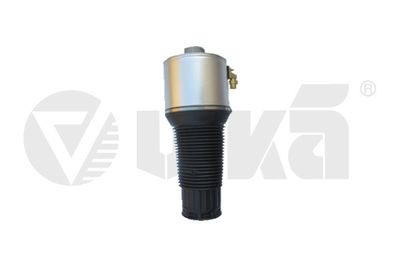 Air Suspension Strut vika 46160001301