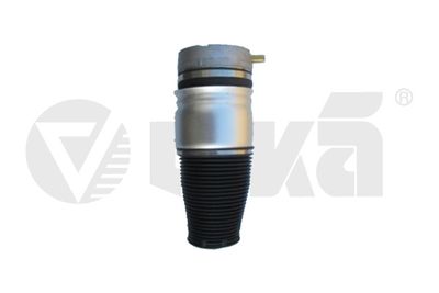 Air Suspension Strut vika 46160001801