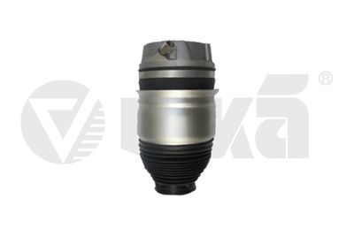 Air Suspension Strut vika 46160002001